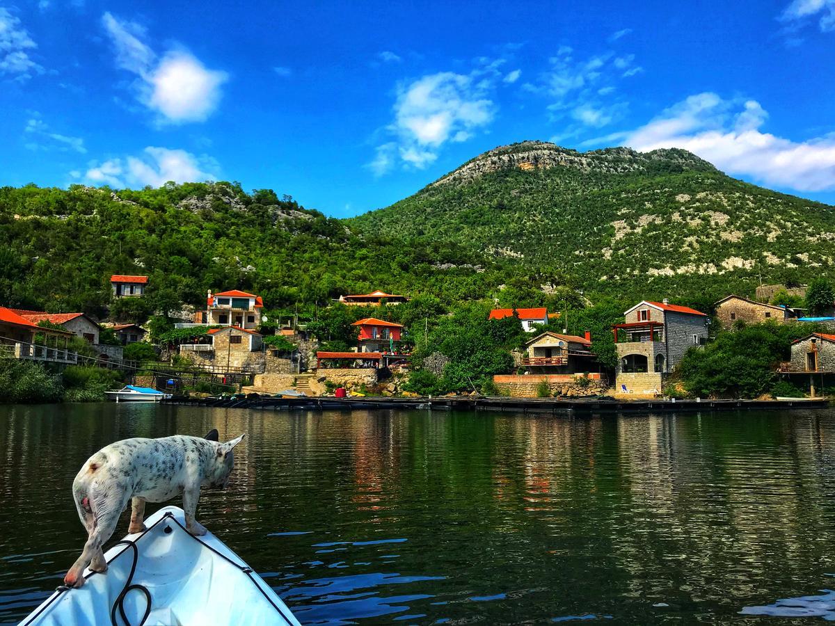 Studio Apartment Cudo Nevidjeno Karuc Εξωτερικό φωτογραφία